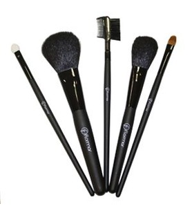 ����� ������ ��� ������� Make Up Brush Set, 5 ��   